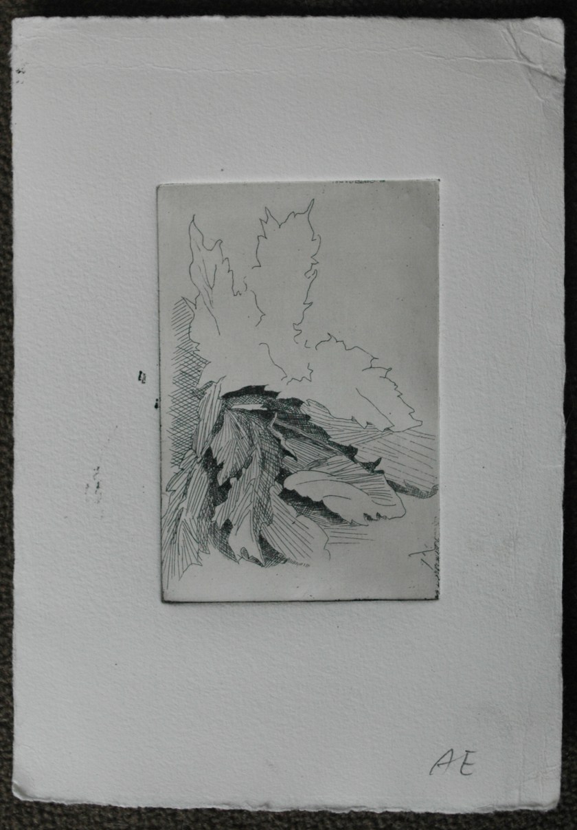 State1 State 1: This plate was etched twice. The first set of lines were made in the acid after 15 minutes. I washed the plate with water, but did not remove the ground. I then added more lines and returned the plate to the acid for 15 more minutes. The initial lines therefore were etched for twice as