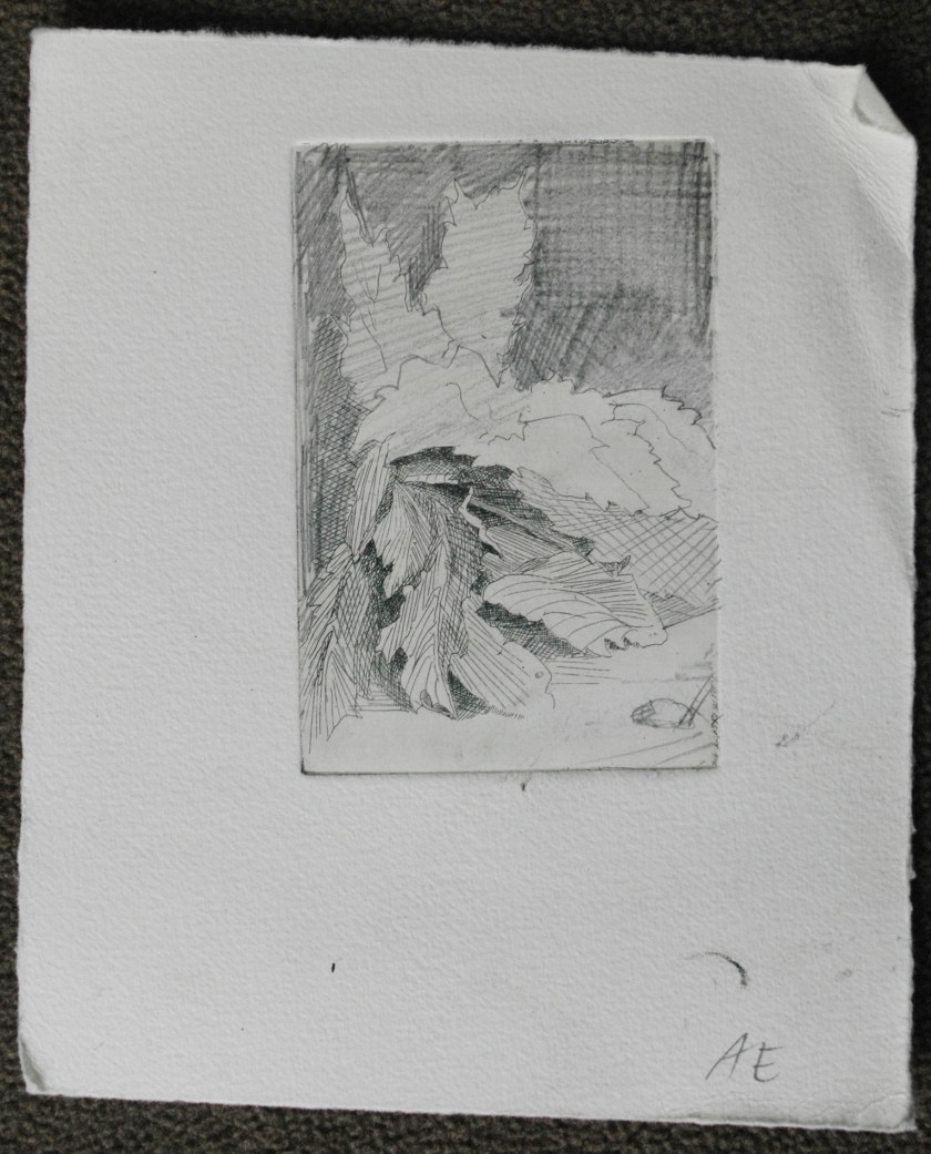 State2 State 2: I simply worked on the print with graphite to have a better sense of where I wanted to take it next.