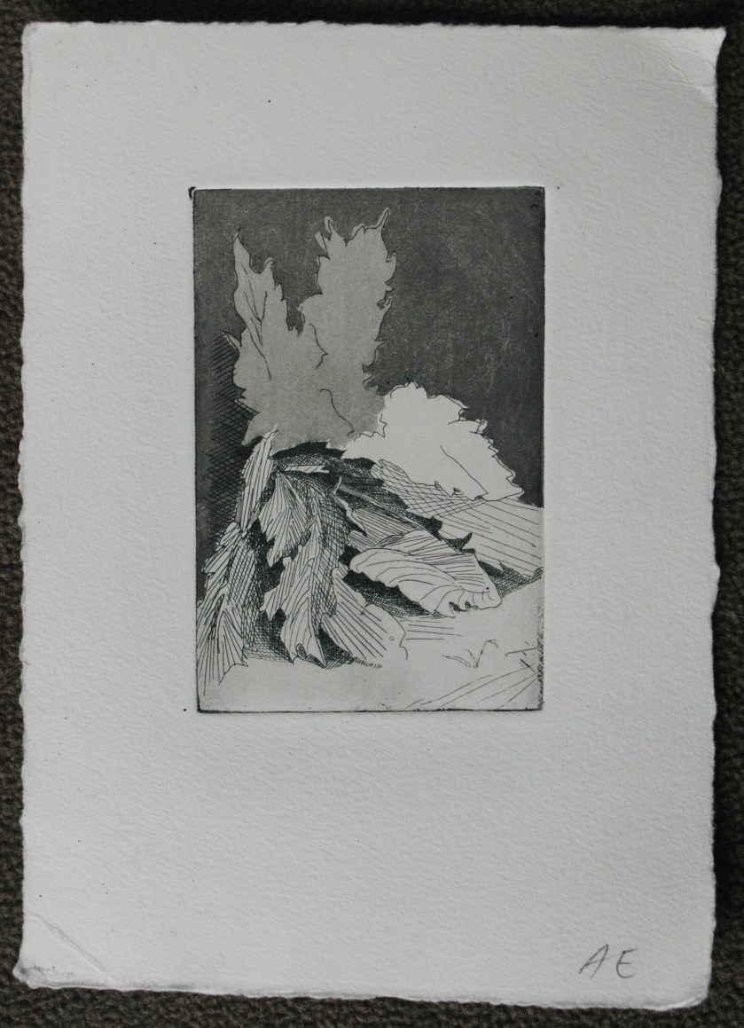 State3 State 3: This print was pulled after etching an aquatint. After applying Liquid Asphaltum to places that I did not want to be etched, I put the plate in a Rosin Box. Drops of an acid resist settled on my plate and after 8 minutes I took it out of the box, melted the drops over a hot plate and let it cool. I then put the plate in the acid for 20 seconds, washed the acid off quickly and applied more liquid asphaltum. This time, I put the liquid asphaltum over what now looks like the slightly lighter leaves. I let the background be etched for 20 more seconds, creating an even darker tone.