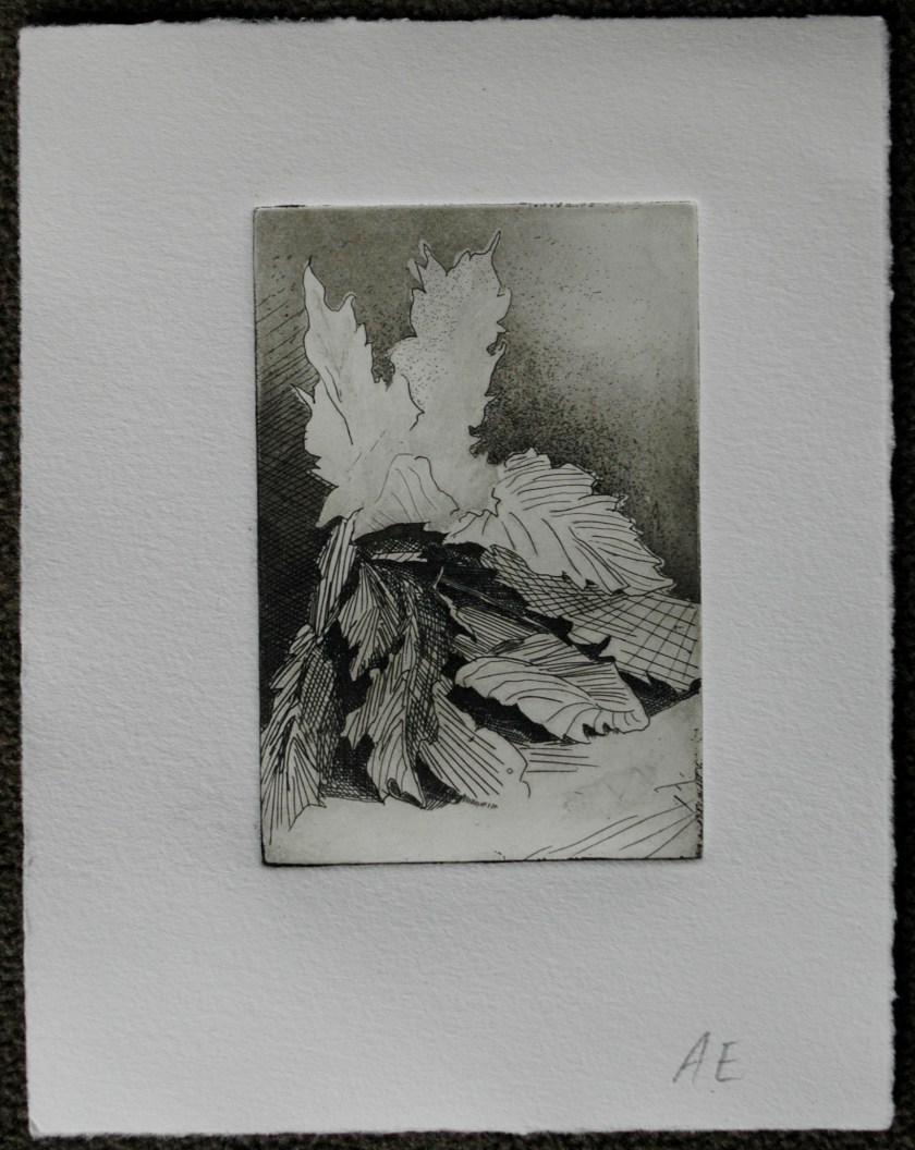 State5 State 5: This print is the same as the last, only it was made with dark brown ink instead of black ink. The resulting print is a bit warmer than the previous.