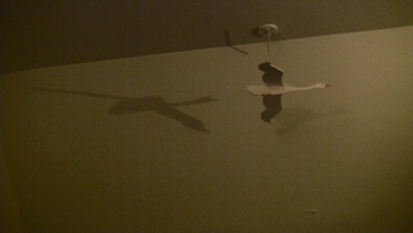 June 14- I my way north, I stopped in Toronto to visit Alex Manning. This is the Canadian goose that is caugh in her apartment. I was in Toronto long enough to explore Kensington market, play some tennis, watch the Lakers win the NBA championship and meet some great people in Alex's life.   