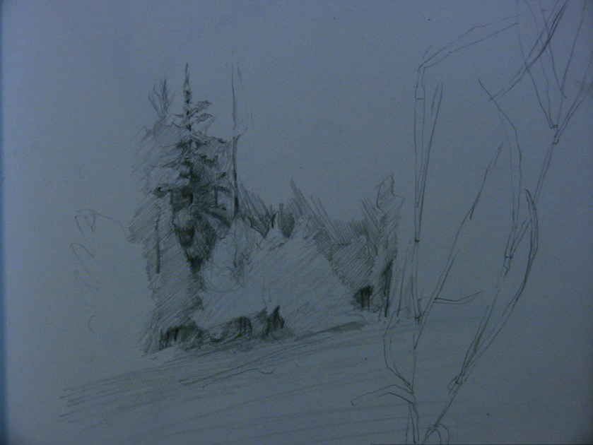 After the rainfall, near Ignace, Ontario