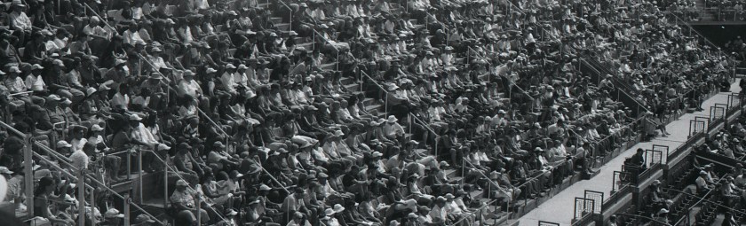 The Crowd Looking On