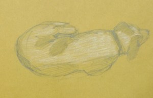 Another drawing of Charlie.