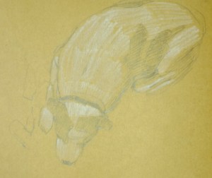 From a series of Charlie drawings.