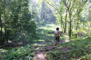 Instead of boating back, we chose to hike out through the jungle.