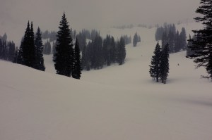 The view uphill from Watson's. Such a playground. Just a fraction of Alta as well.
