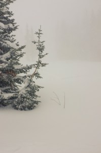 One of my last photographs at Alta before heading down to the airport. The road was going to close for avalanche control at 3 and I would have missed my flight if I waited until after it reopened. Leaving behind such incredible conditions was not easy.