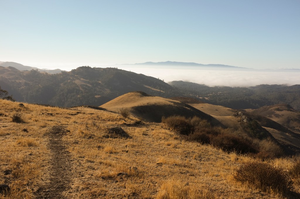 Return of an ice age.